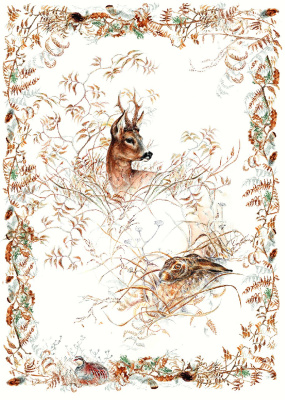 Набор из 2 кухонных полотенец